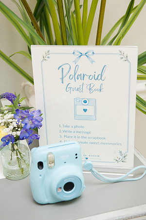 AlineDyiles-BabyShower-0302