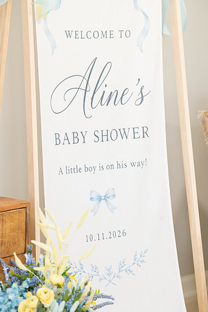 AlineDyiles-BabyShower-0258