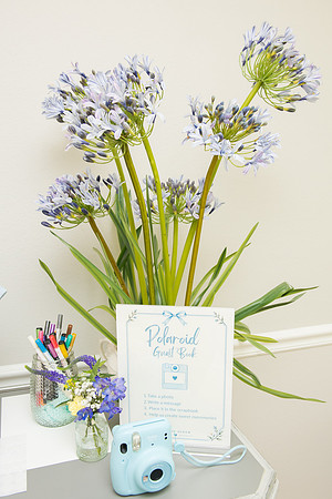 AlineDyiles-BabyShower-0300