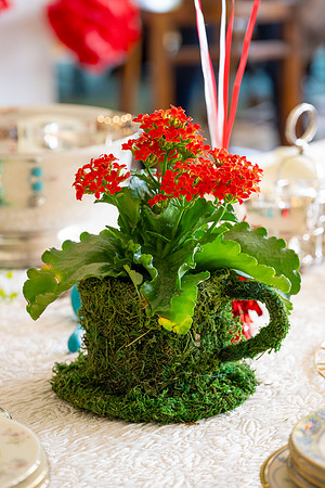 2363KatherineBridalParty-023