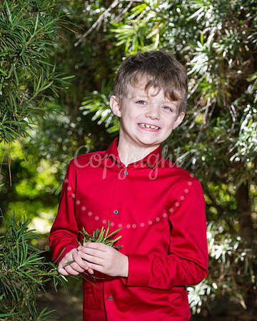 2381FaganFamily-0283